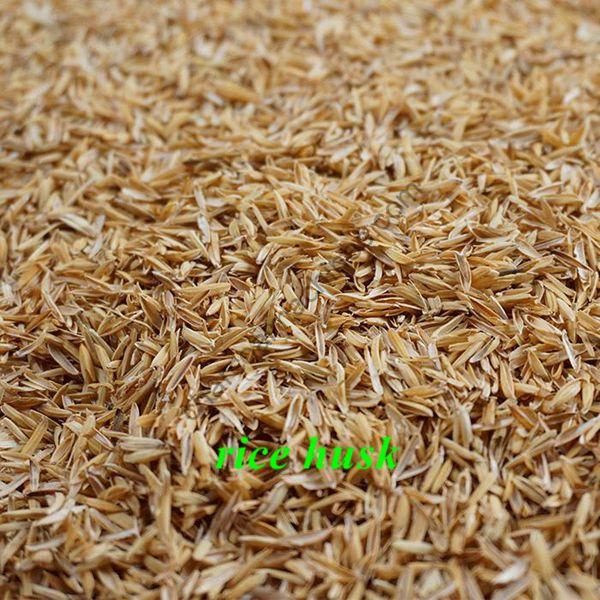 rice husk for briquetting