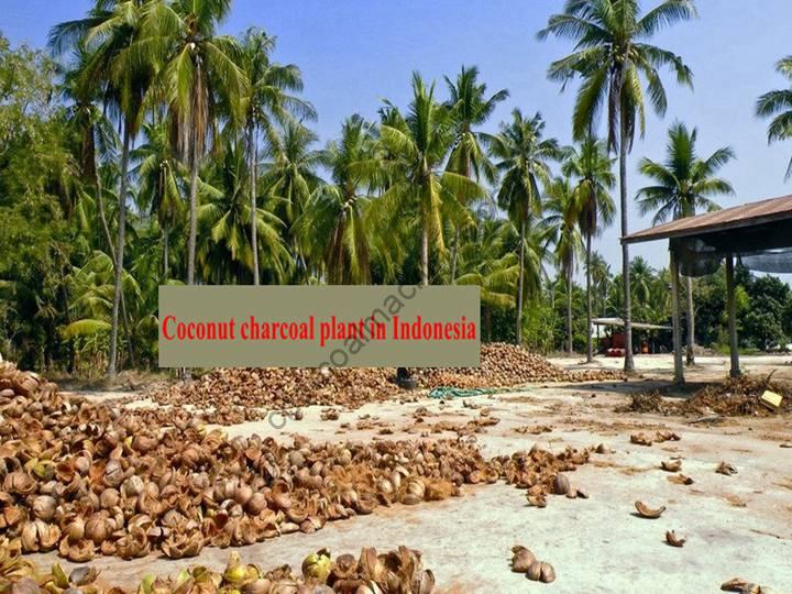 coconut shells for making charcoal in Indonesia