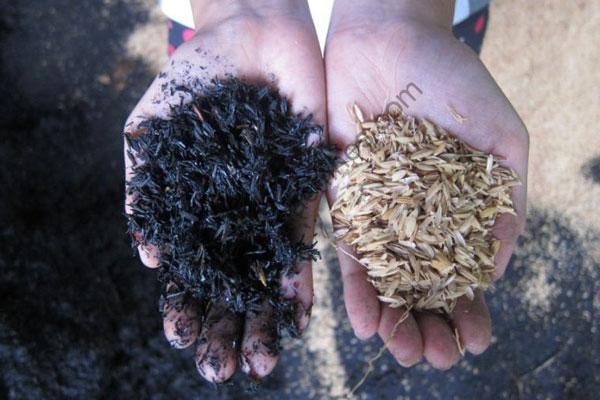 rice husk charcoal production (2)