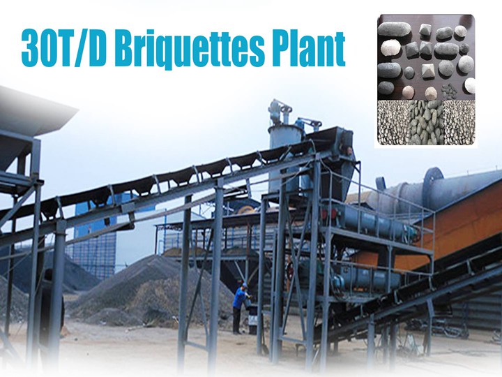 Planta de briquetas de carbón comprimido de 30T / D en Malasia