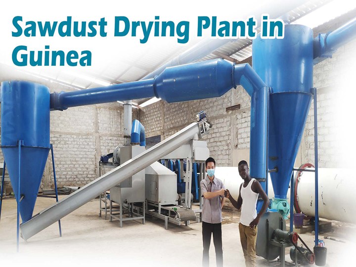 sawdus drying plant in Guinea